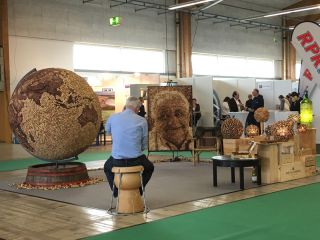 Art of Cork