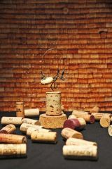 Art of Cork